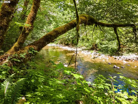 Sharps Creek Rd, Dorena, OR 97434 photo 14
