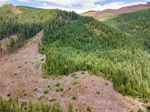 Sharps Creek Rd, Dorena, OR 97434 photo 7