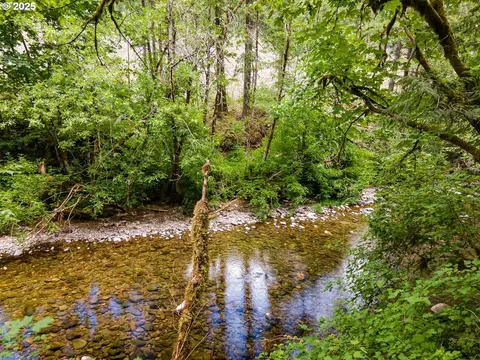 Sharps Creek Rd, Dorena, OR 97434 photo 17