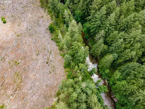 Sharps Creek Rd, Dorena, OR 97434 photo 3