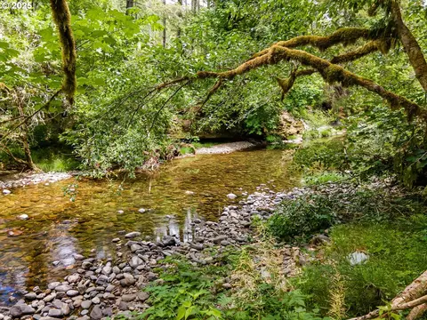 Sharps Creek Rd, Dorena, OR 97434 photo 13