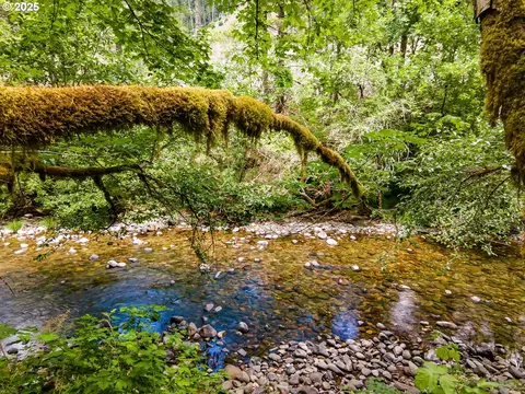 Sharps Creek Rd, Dorena, OR 97434 photo 12