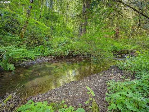 51660 E Terra Fern Dr, Sandy, OR 97055 photo 15