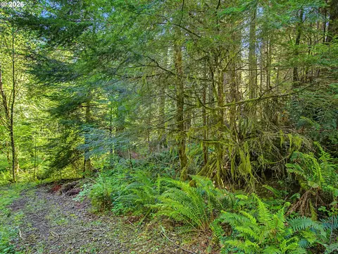 51660 E Terra Fern Dr, Sandy, OR 97055 photo 17