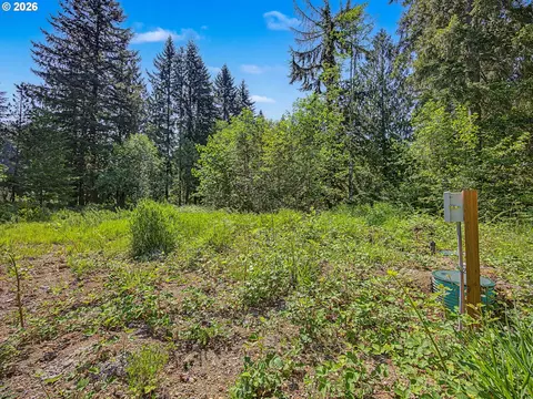 51660 E Terra Fern Dr, Sandy, OR 97055 photo 11