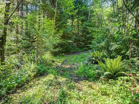 51660 E Terra Fern Dr, Sandy, OR 97055 photo 19