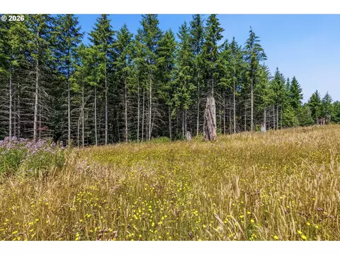 252 Ash Mountain Dr, Castle Rock, WA 98611