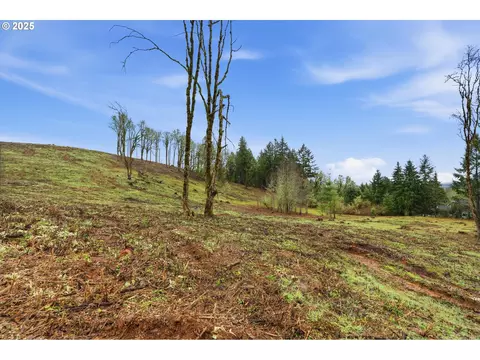0 NW Berry Creek Rd #PAR 1, Mcminnville, OR 97128