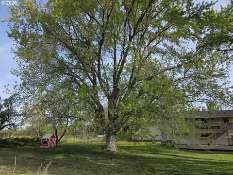Exterior - 81503 W Eighth Rd, Irrigon, OR 97844 photo 3 of 4
