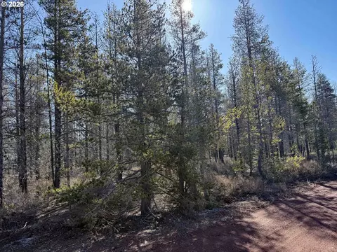 scott view drive, Chiloquin, OR 97624 photo 34
