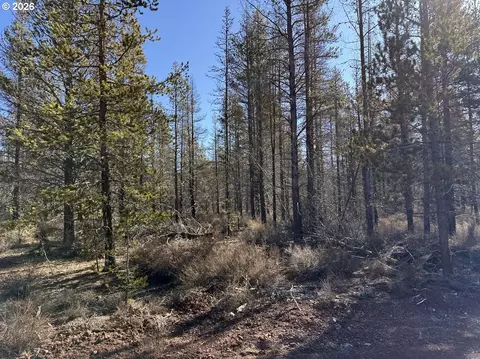 scott view drive, Chiloquin, OR 97624 photo 20