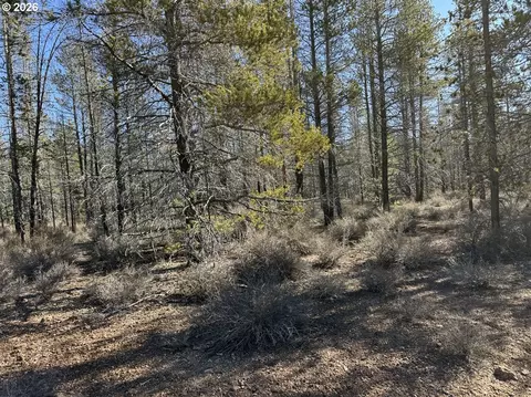 scott view drive, Chiloquin, OR 97624 photo 31