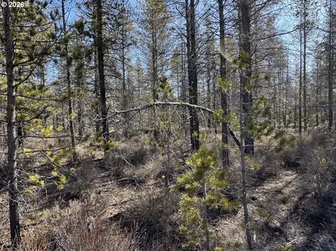 scott view drive, Chiloquin, OR 97624 photo 16