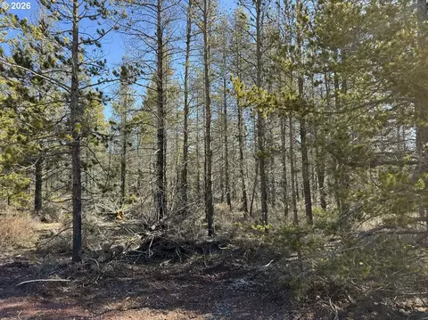 scott view drive, Chiloquin, OR 97624 photo 17