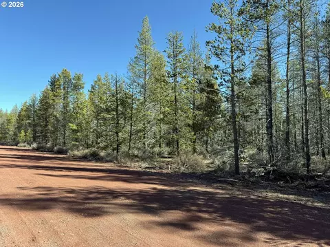 scott view drive, Chiloquin, OR 97624 photo 11