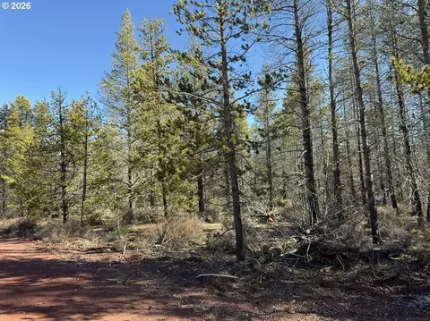 scott view drive, Chiloquin, OR 97624 photo 18