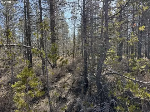 scott view drive, Chiloquin, OR 97624 photo 15