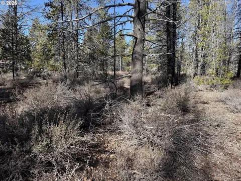 scott view drive, Chiloquin, OR 97624 photo 36