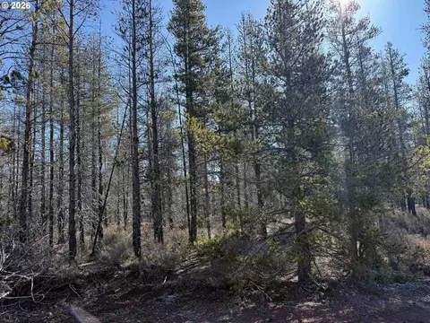 scott view drive, Chiloquin, OR 97624 photo 33