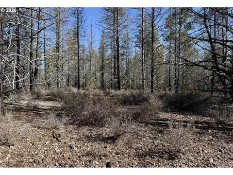 scott view drive, Chiloquin, OR 97624 photo 35