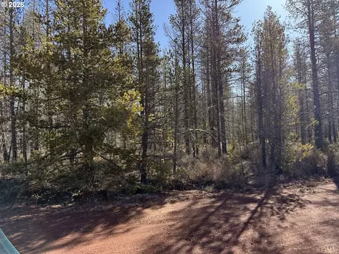scott view drive, Chiloquin, OR 97624 photo 14