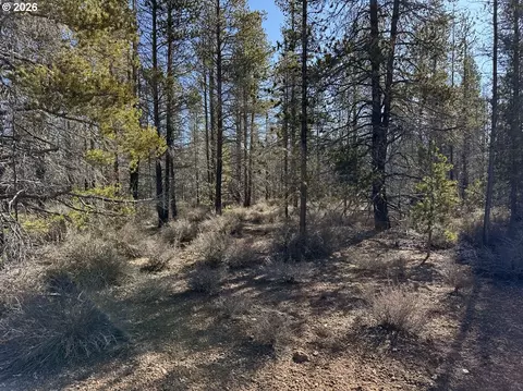 scott view drive, Chiloquin, OR 97624 photo 30