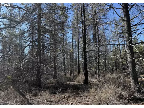 scott view drive, Chiloquin, OR 97624 photo 37