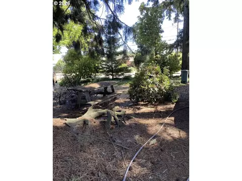 Exterior - 658 W Fairview Dr, Springfield, OR 97477 photo 2 of 6