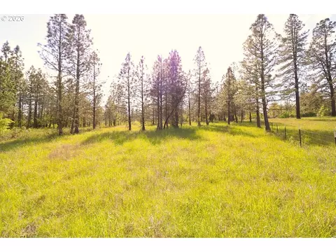 0000 Modesto, Eugene, OR 97402