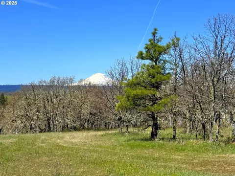 Centerville Hwy Lot3, Lyle, WA 98635