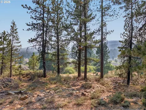 Other - 105 E Mt View Est, Sumpter, OR 97877 photo 4 of 14