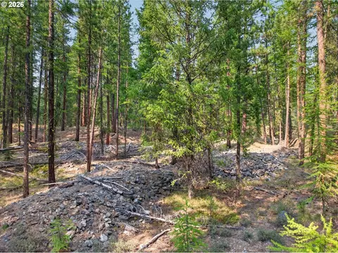 Other - 105 E Mt View Est, Sumpter, OR 97877 photo 6 of 14