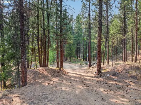 Other - 105 E Mt View Est, Sumpter, OR 97877 photo 5 of 14