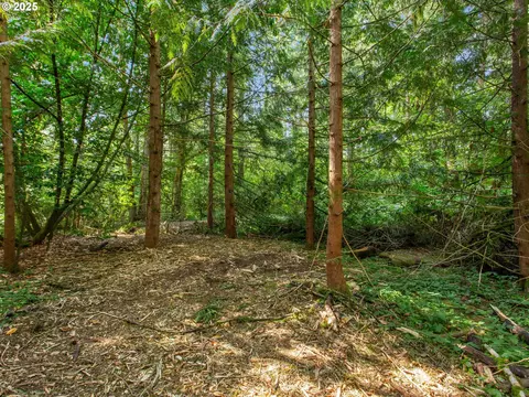 Prop Id 233176000, Yacolt, WA 98675
