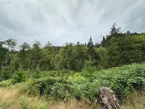 3 N Dubois Rd, Ariel, WA 98603