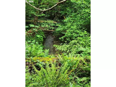 0 Louis Creek Rd, Myrtle Creek, OR 97457