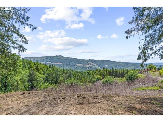 1899 Mount Pleasant Rd, Kelso, WA 98626