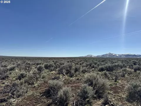 mcdowell creek rd, Plush, OR 97637 photo 17