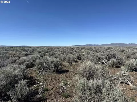 mcdowell creek rd, Plush, OR 97637 photo 15