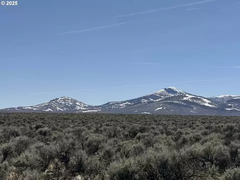 mcdowell creek rd, Plush, OR 97637 photo 24