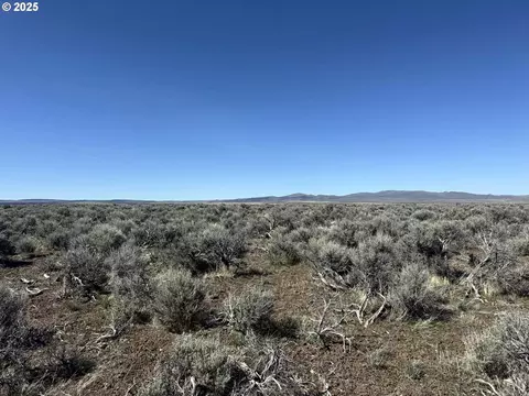 mcdowell creek rd, Plush, OR 97637 photo 11