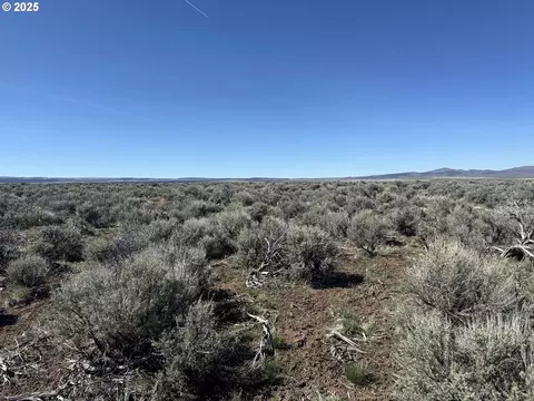 mcdowell creek rd, Plush, OR 97637 photo 14