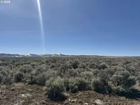 mcdowell creek rd, Plush, OR 97637 photo 12