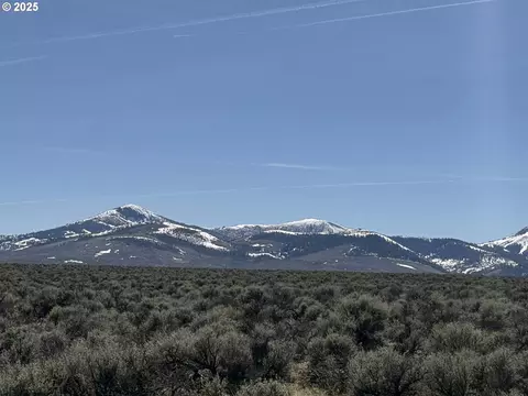 mcdowell creek rd, Plush, OR 97637 photo 23