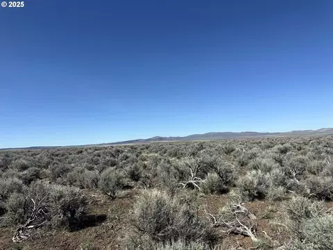 mcdowell creek rd, Plush, OR 97637 photo 16
