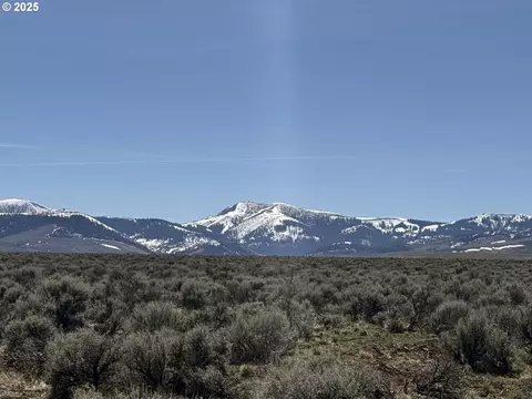 mcdowell creek rd, Plush, OR 97637 photo 22