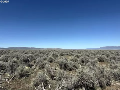 mcdowell creek rd, Plush, OR 97637 photo 4