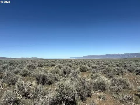 mcdowell creek rd, Plush, OR 97637 photo 10