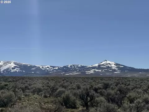 mcdowell creek rd, Plush, OR 97637 photo 21