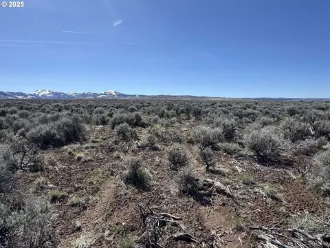 mcdowell creek rd, Plush, OR 97637 photo 28